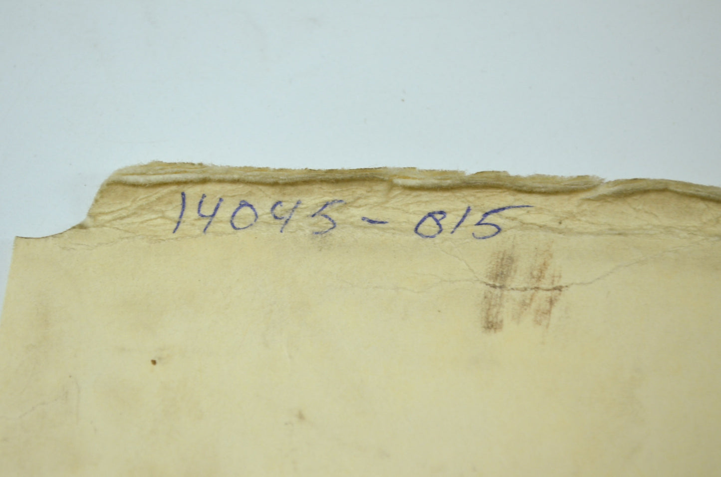 OEM Kawasaki 14045-015 Chain Cover Gasket NOS