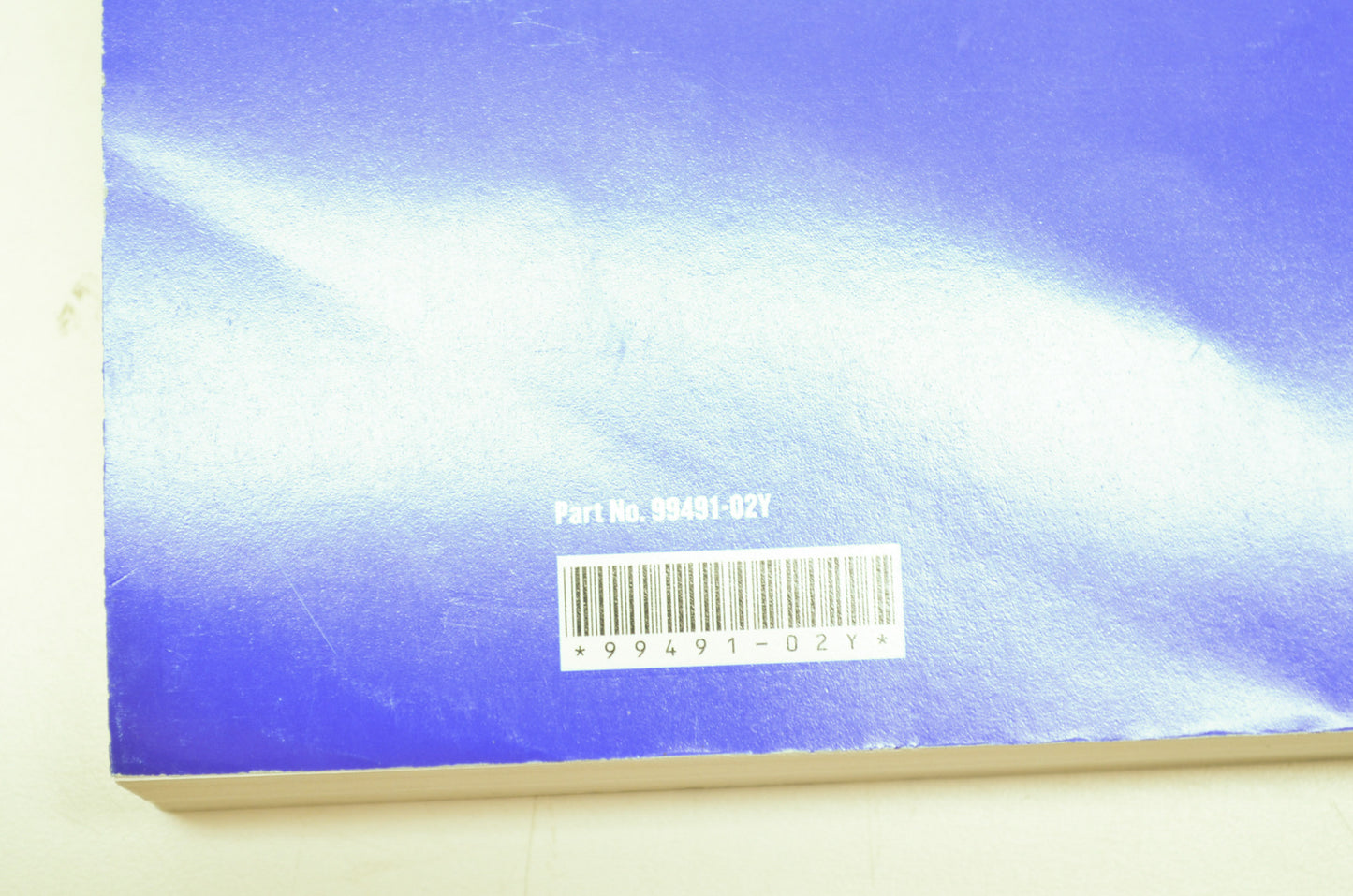 2002 Cyclone M2 M2L Model Official Factory Manual NOS