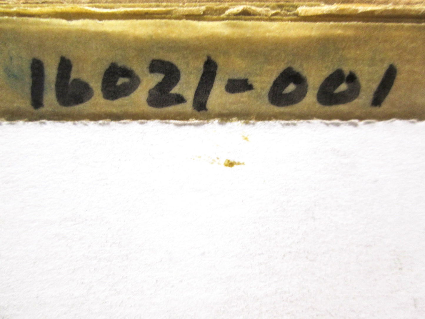 OEM Kawasaki 16021-001 Stop Screw NOS