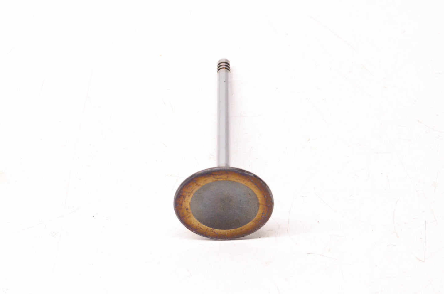 Aftermarket 420254295 Intake Valve NOS