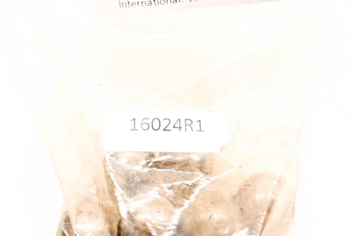 International 16024R1 Bearing Ball NOS