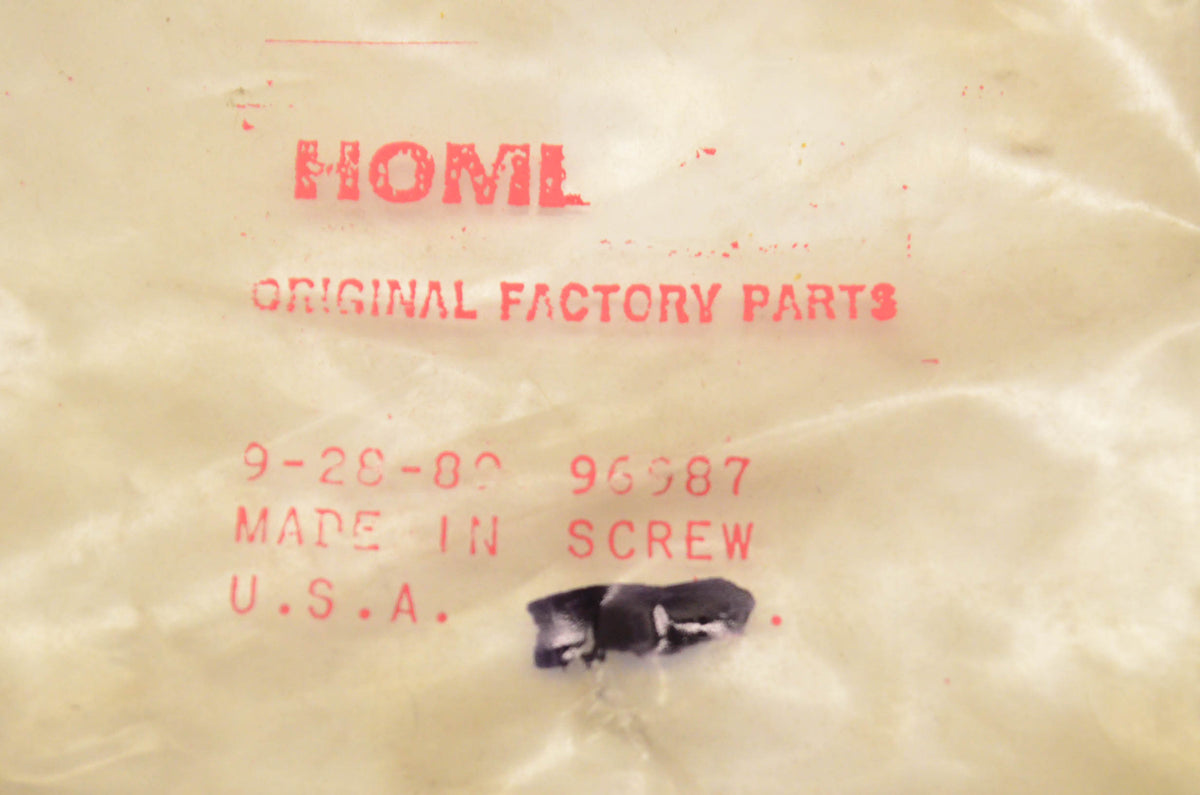 Homelite 96987 Screw Qty 2 NOS