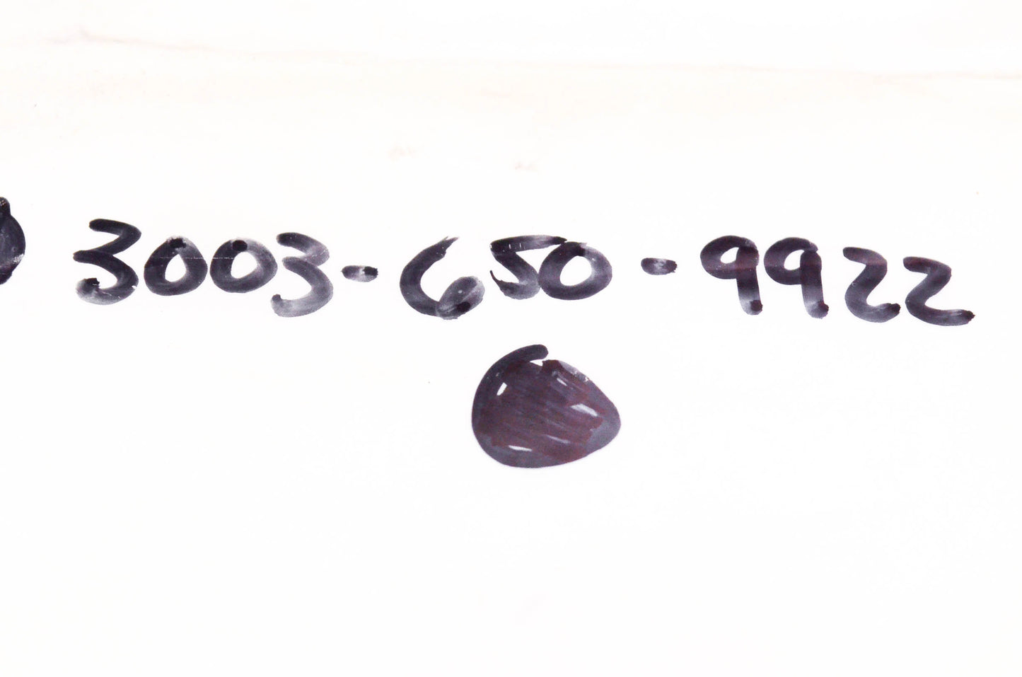 New OEM Stihl 3003-650-9922 Roller Nose NOS