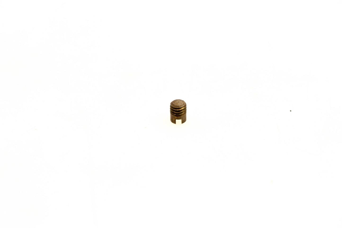 OMC 303041 Drain Bowl Screw NOS