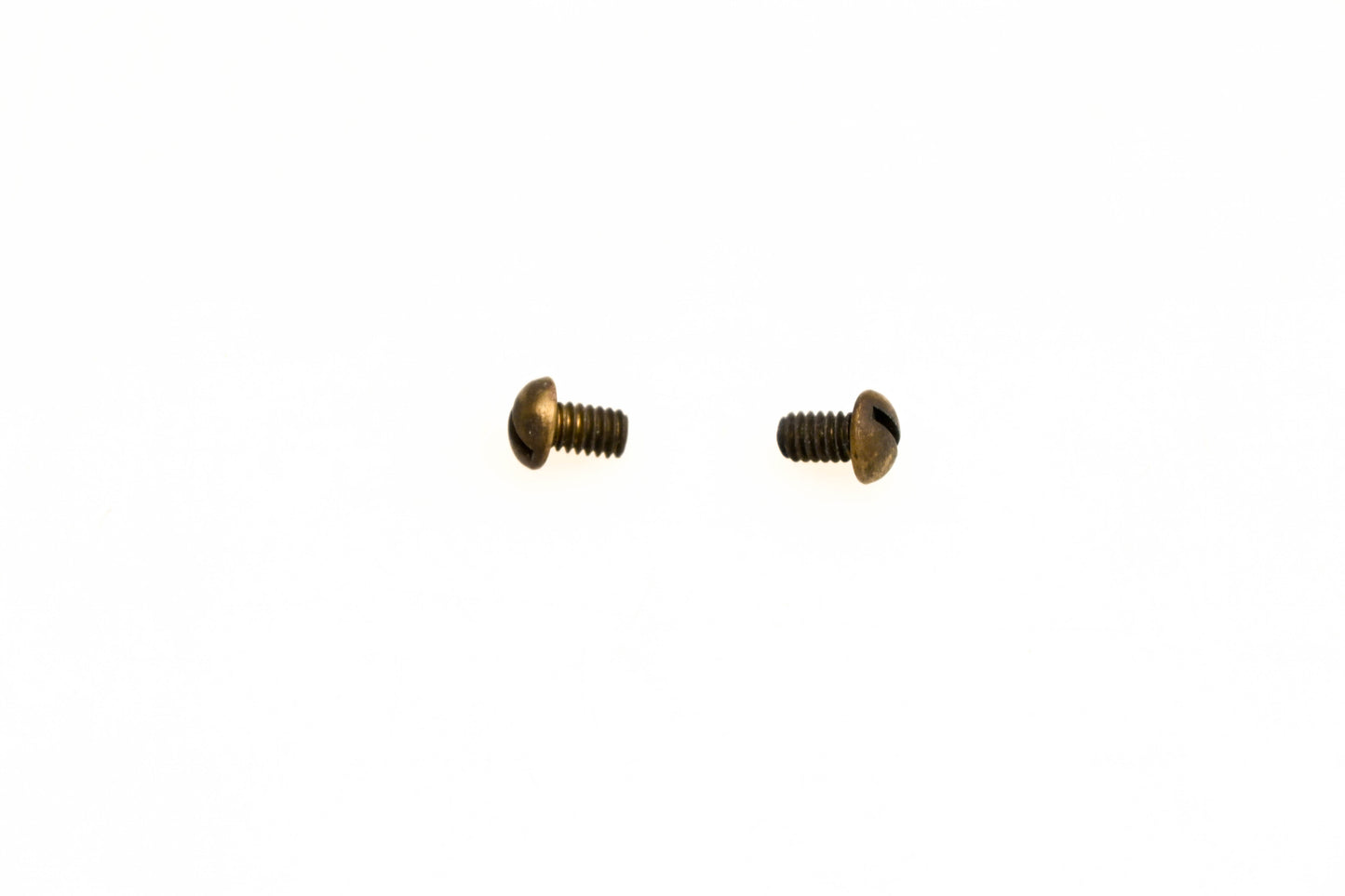 OMC 306559 Screws Qty 2 NOS