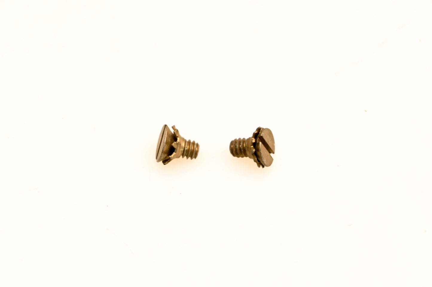 OMC 510297 Screws Qty 2 NOS
