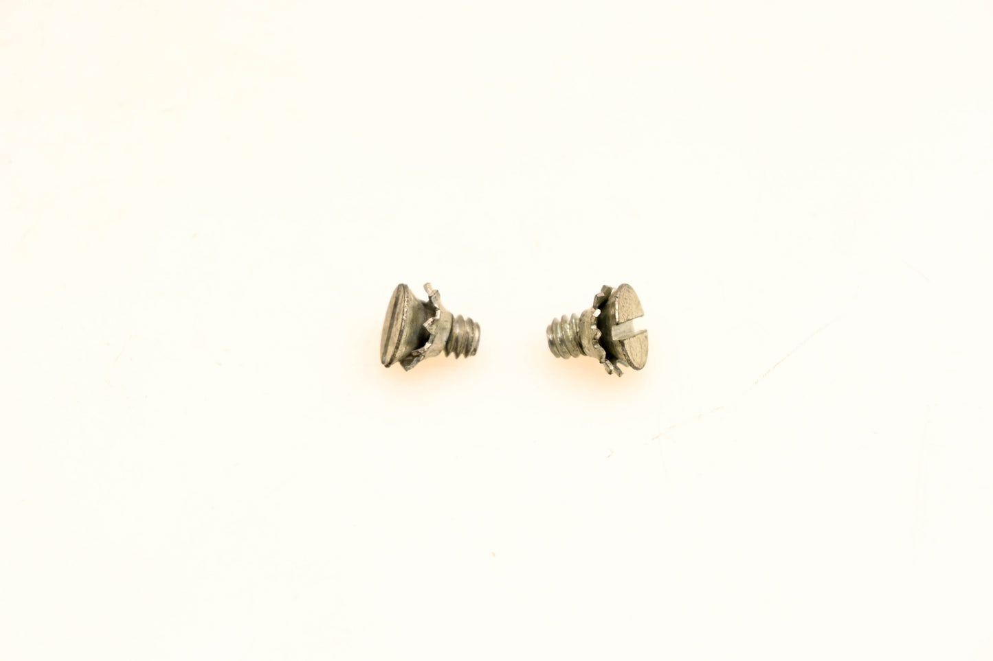 OMC 510297 Screws Qty 2 NOS