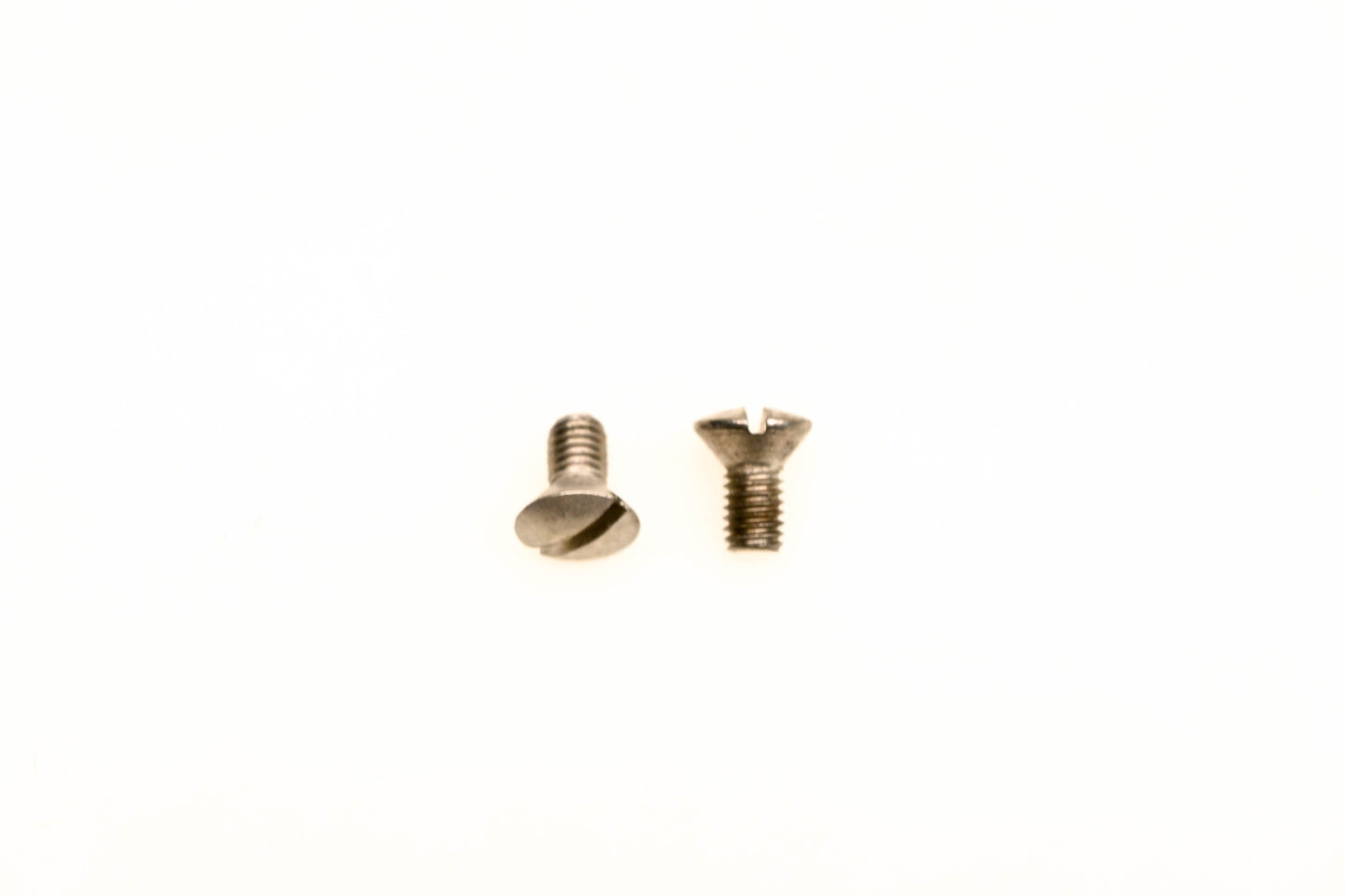 OMC 318238 Screws Qty 2 NOS