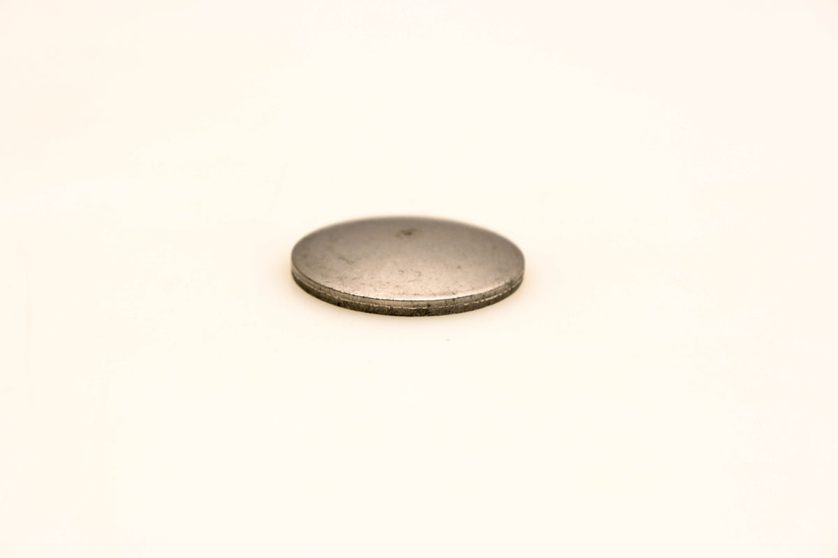 OMC 308679 Expansion Plug NOS