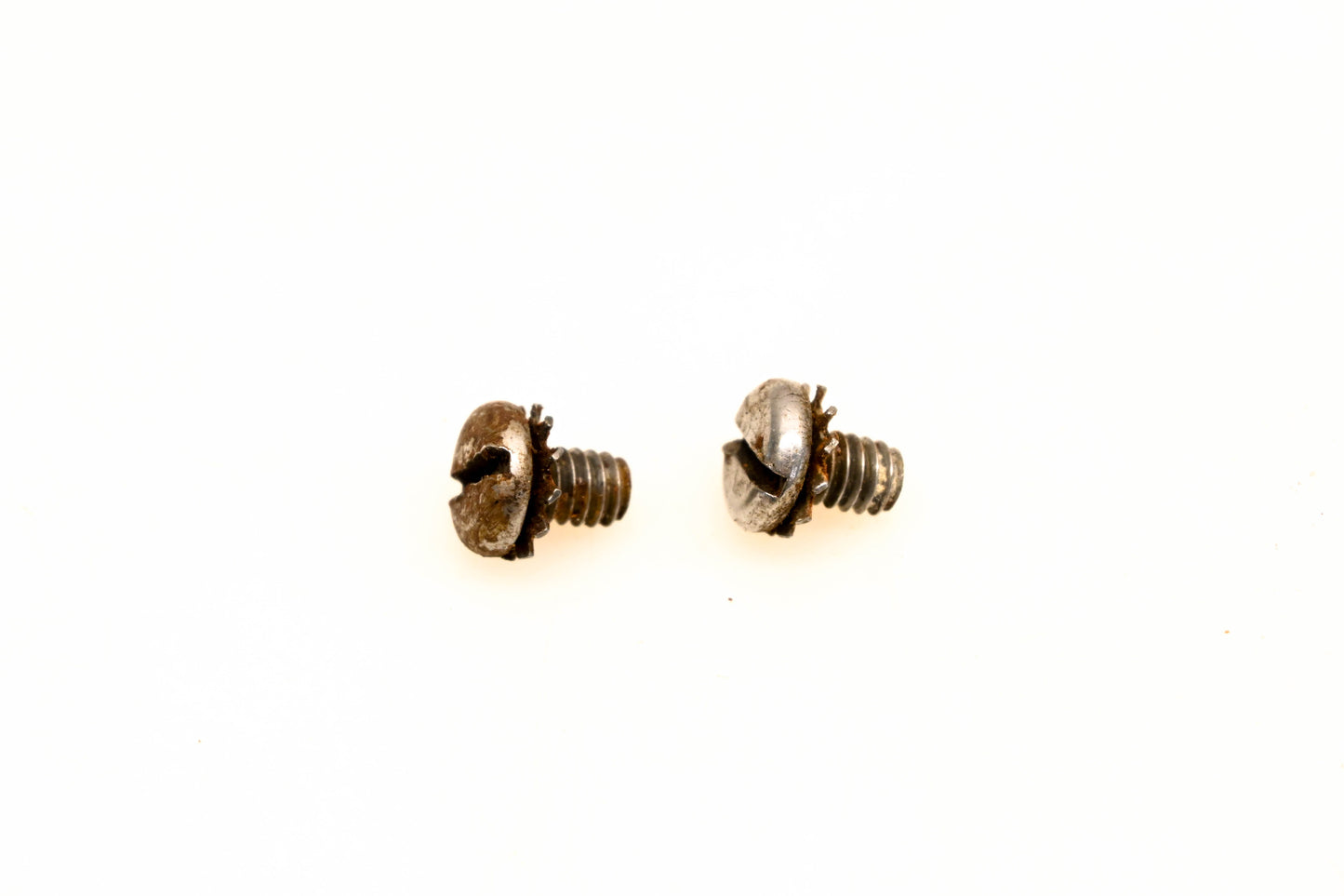 OMC 303311 Screws Qty 2 NOS