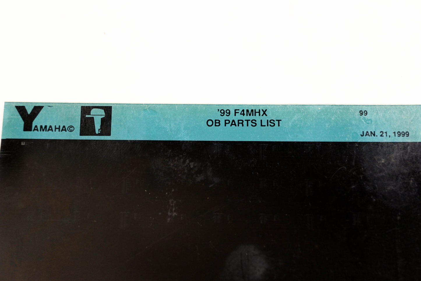 OEM Yamaha YN020-64 1999 F4MHX Outboard Parts List Microfiche