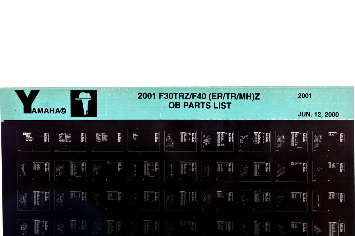 OEM Yamaha YR010-25 2001 F30TRZ/F40 (ER/TR/MH)Z Parts List Microfiche
