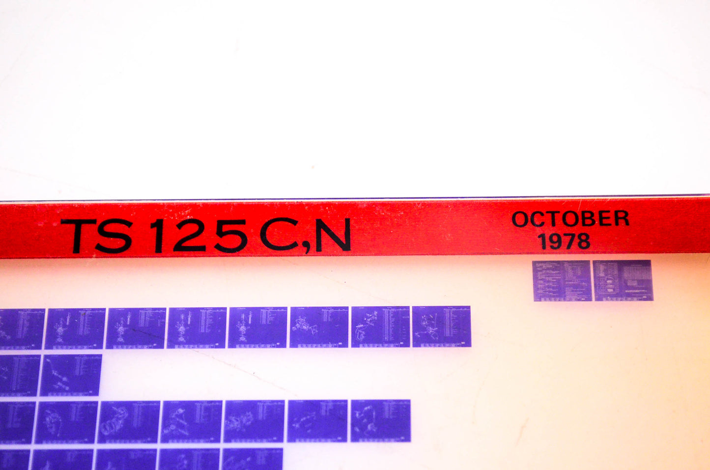 OEM Suzuki TS 125 C,N 1978/October Suzuki TS 125 C,N Microfiche