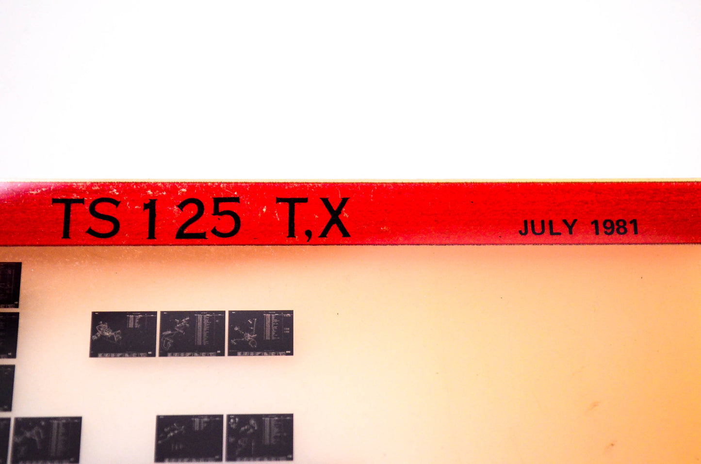OEM Suzuki TS 125 T,X 1981/July Suzuki Parts Catalog TS 125 T,X Microfiche