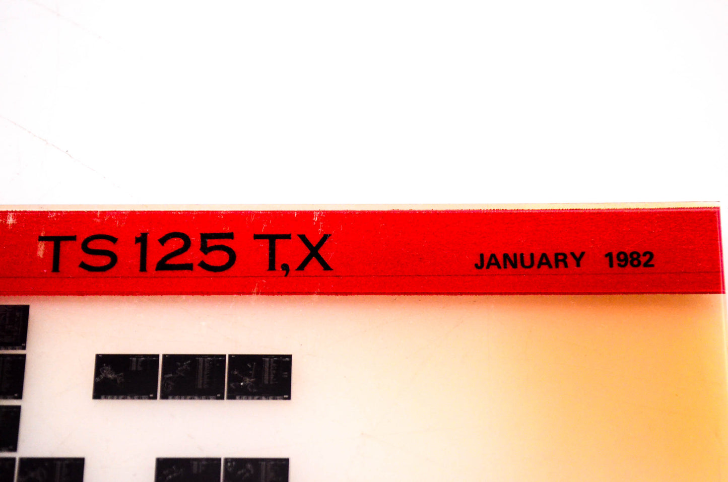 OEM Suzuki TS125 T,X 1982/January Suzuki Parts Catalog TS125 T,X Microfiche