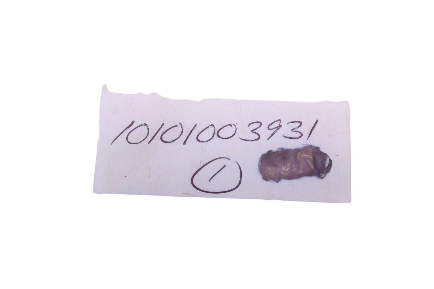New OEM Echo 10101003931 Cylinder Gasket NOS