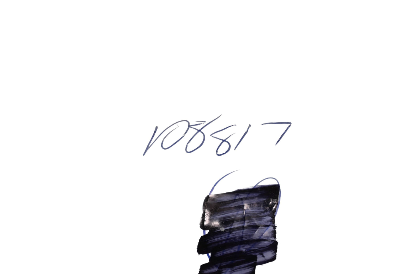 Oregon 108817 Needle Bearing NOS