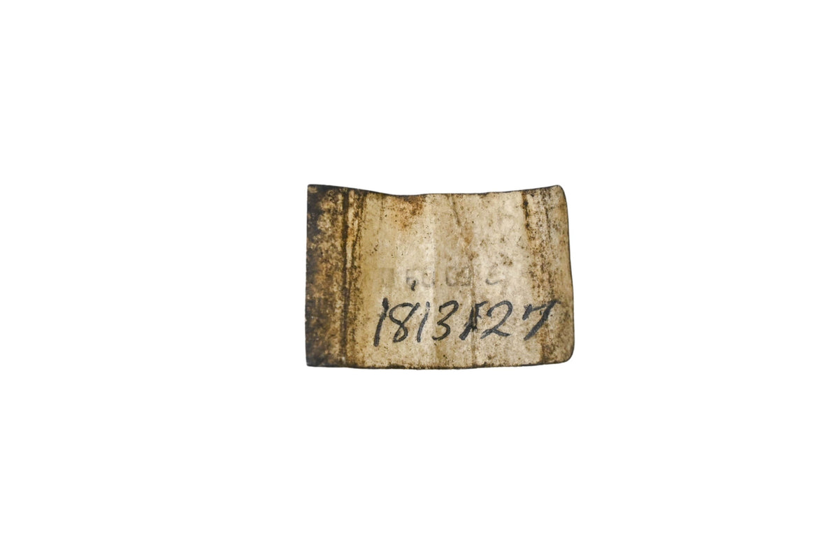 Bolens 1813127 Steering Cable NOS