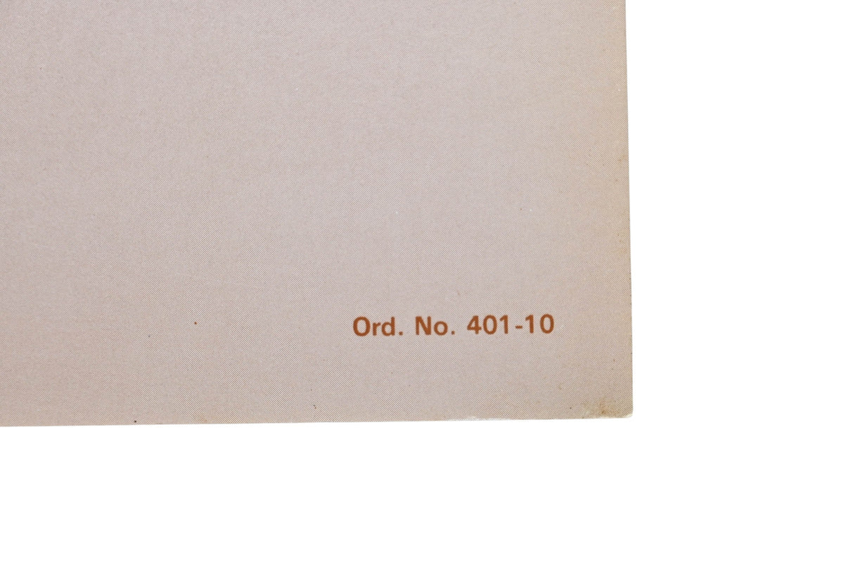 Kioritz Corporation 401-10 Echo Chain Saw Service Manual CS-290EVL