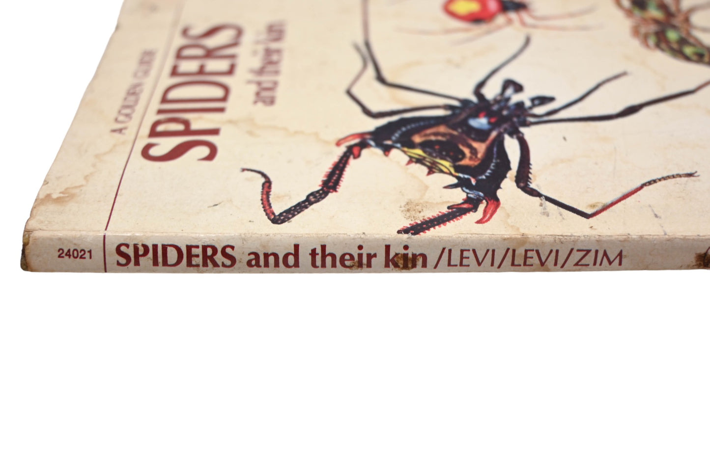 Golden Press 24021 Golden Guide Spiders And Their Kin Book