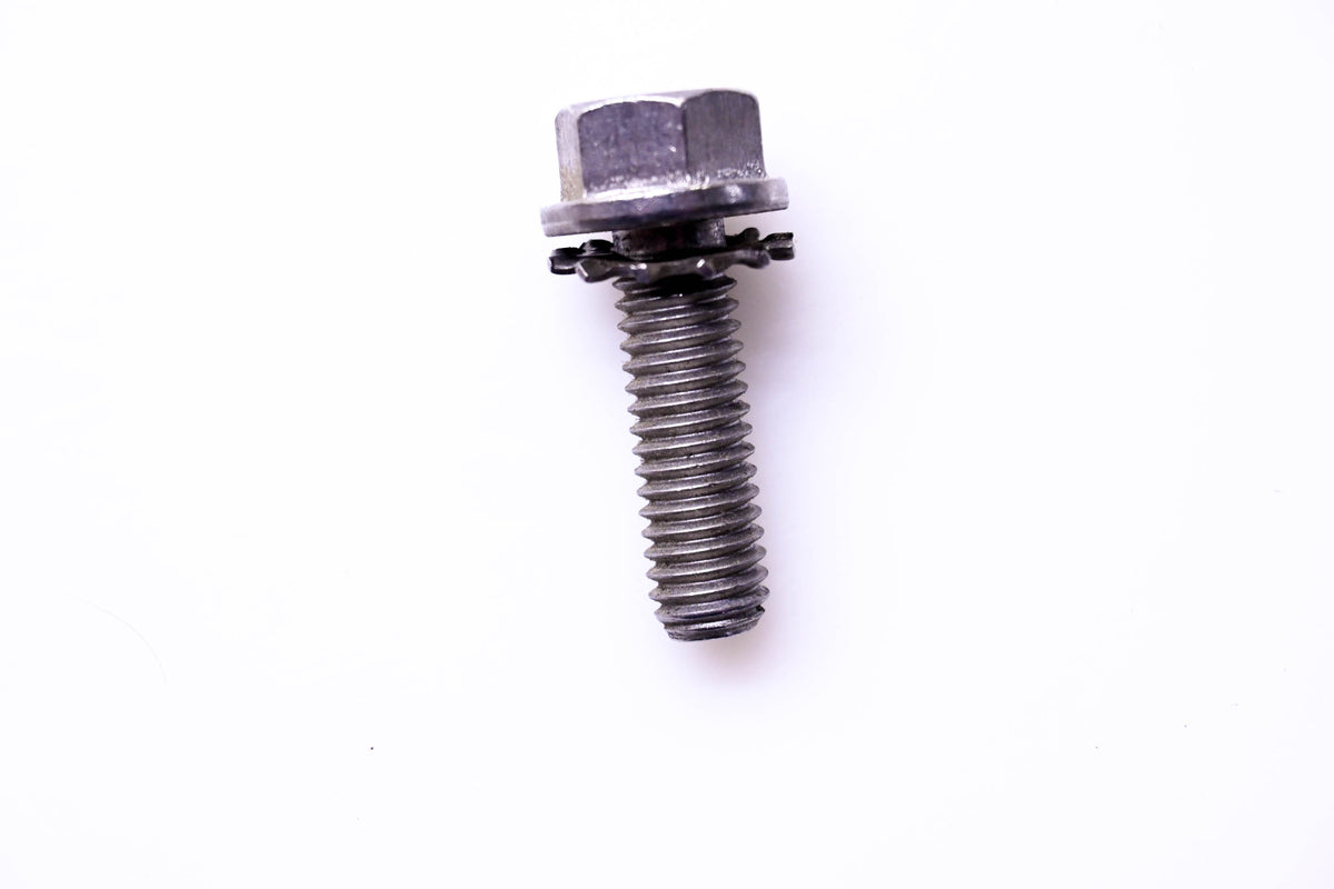 OMC 310406 Screw NOS