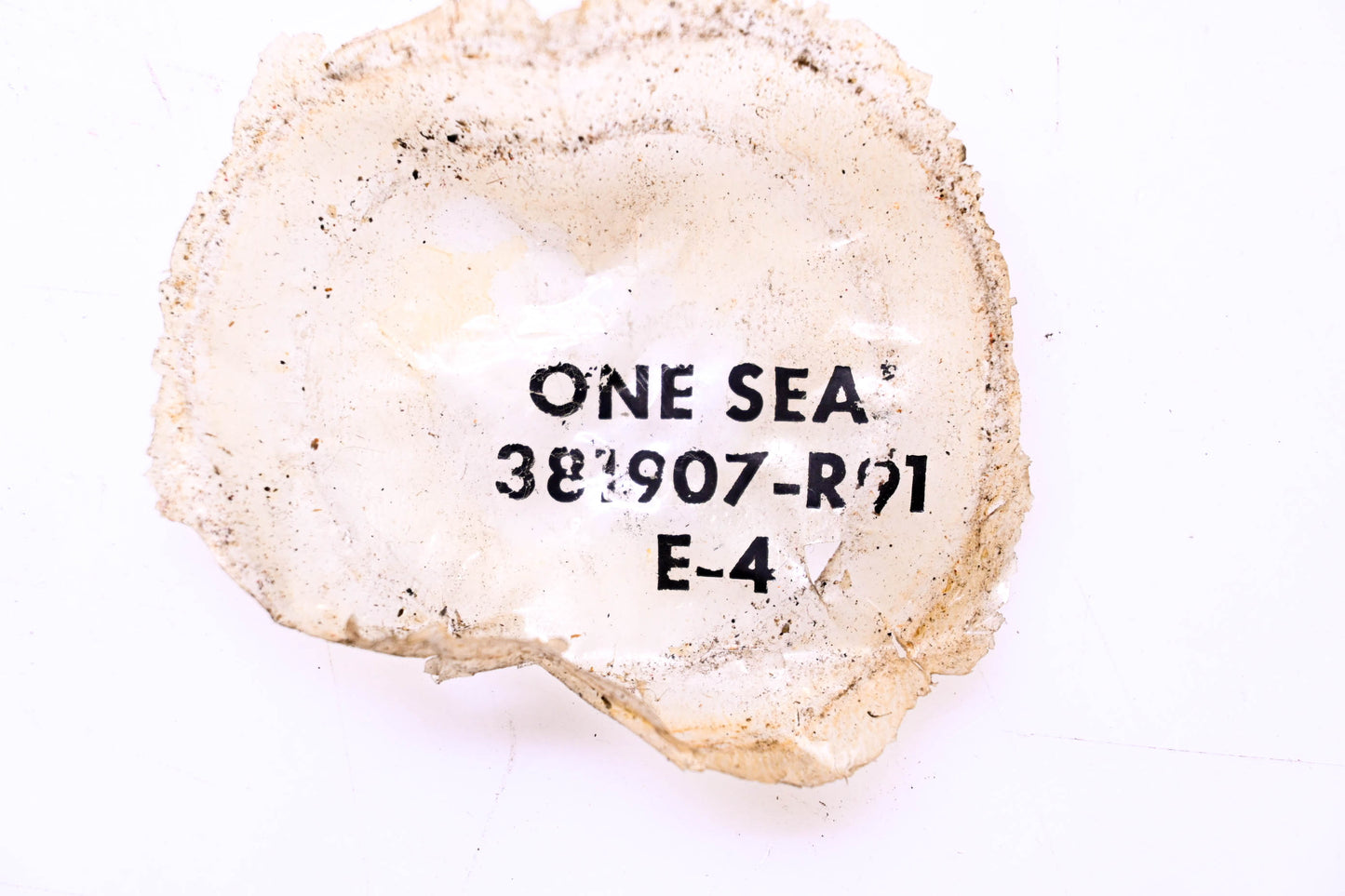 National 381907-R91 Oil Seal NOS