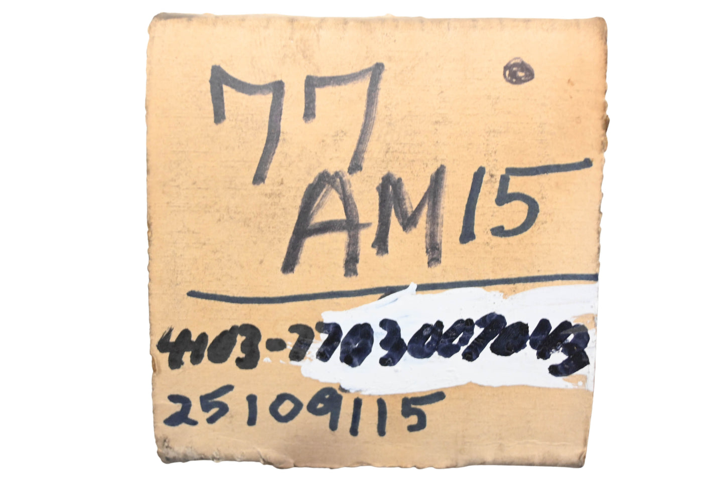 Mack 77AM15, 25109115 Six Point Socket Screw NOS