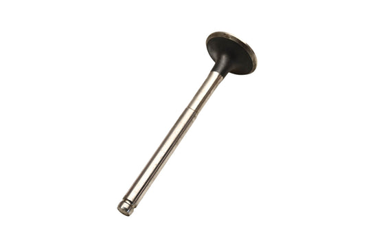 Beck/Arnley 021-3282, 0213282 Exhaust Valve NOS