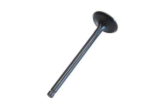 Aftermarket Intake Valve NOS