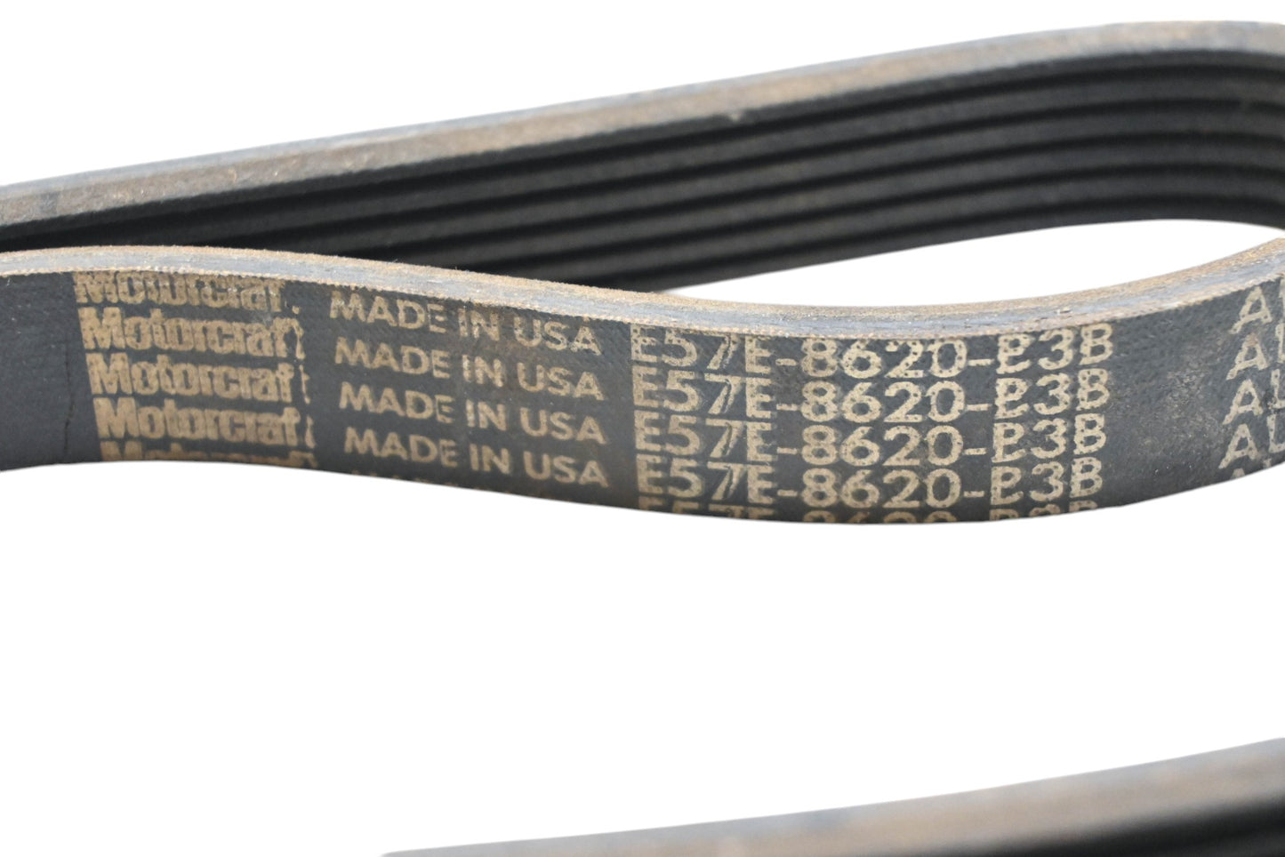 New OEM Motorcraft E57E-8620-B3B Belt NOS
