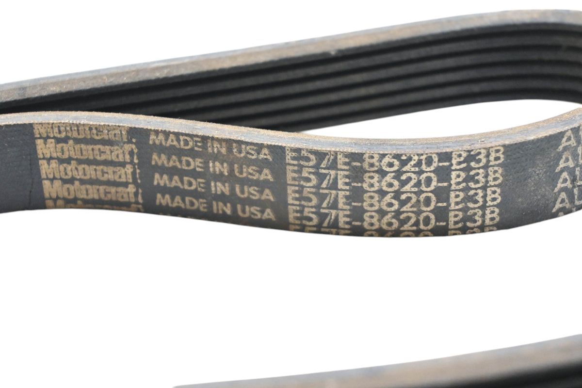 New OEM Motorcraft E57E-8620-B3B Belt NOS
