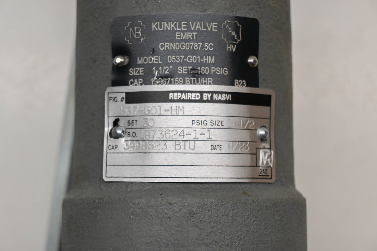 Nasvi 537-G01-HM, CRN0G0787.5C, 1973624-1-1 Refurbished Safety Valve