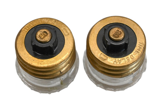 Gould GT20 20A-125V Plug Fuses Qty 2 NOS