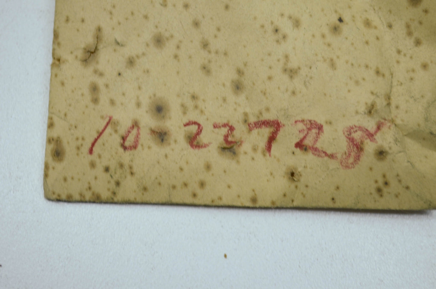 Marine Outboard Cylinder Screw Bolt NOS