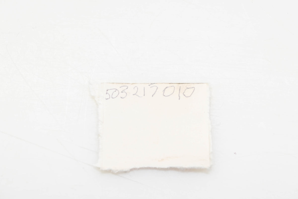New OEM Husqvarna 503 21 70-10, 503217010 Screw NOS