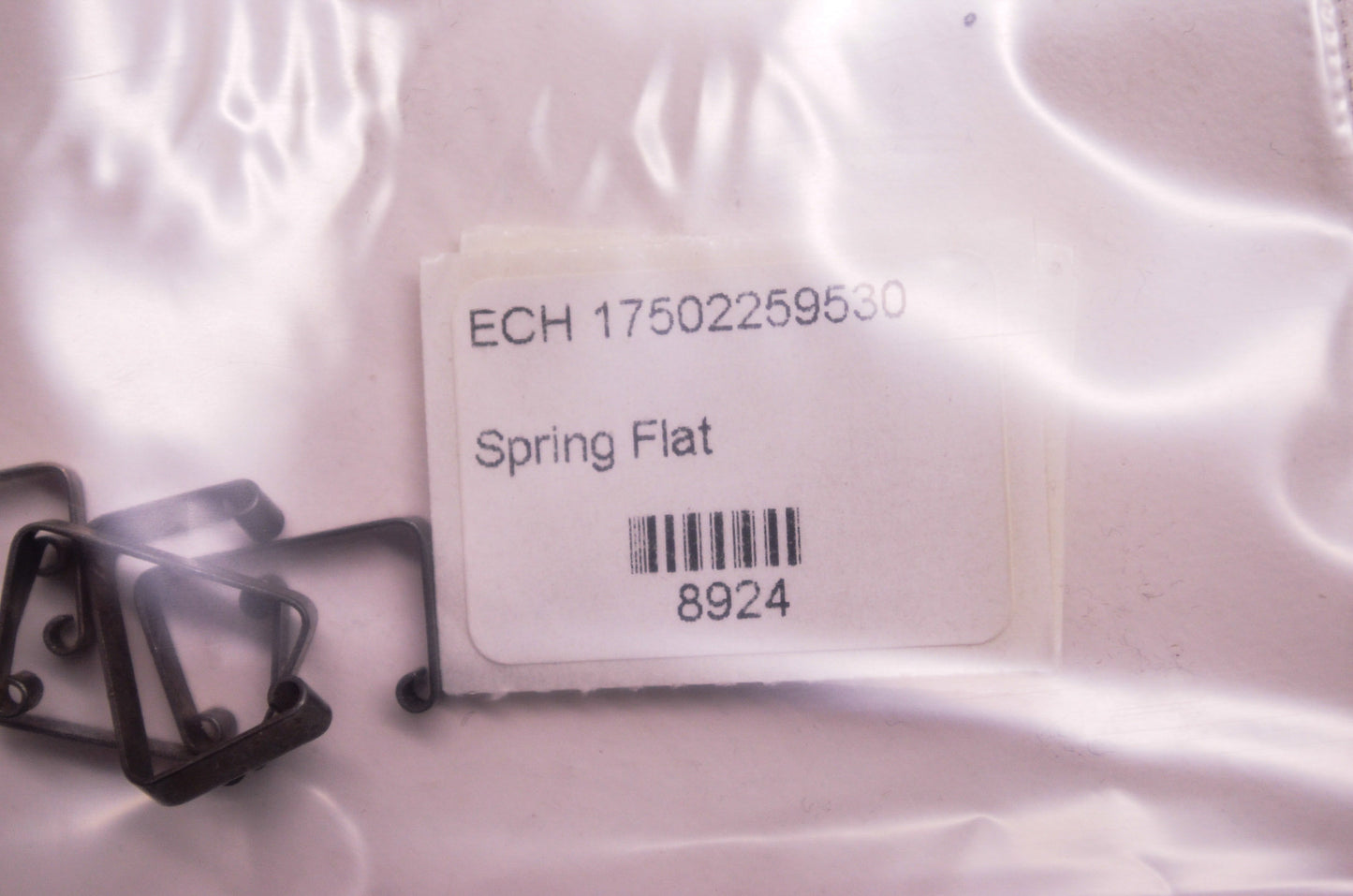 New OEM Echo Flat Spring