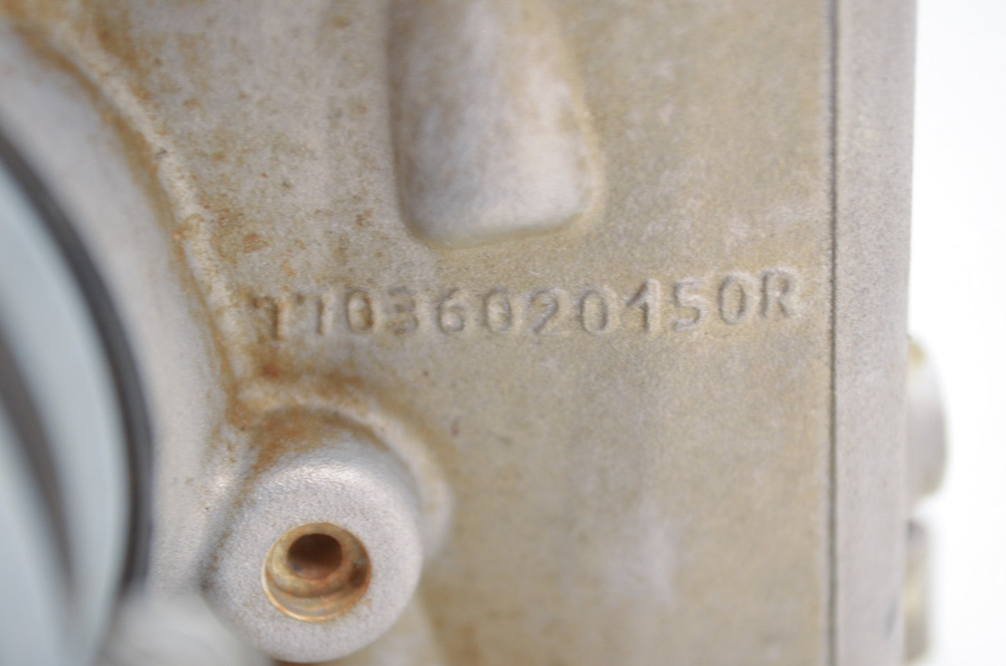 Cylinder Head