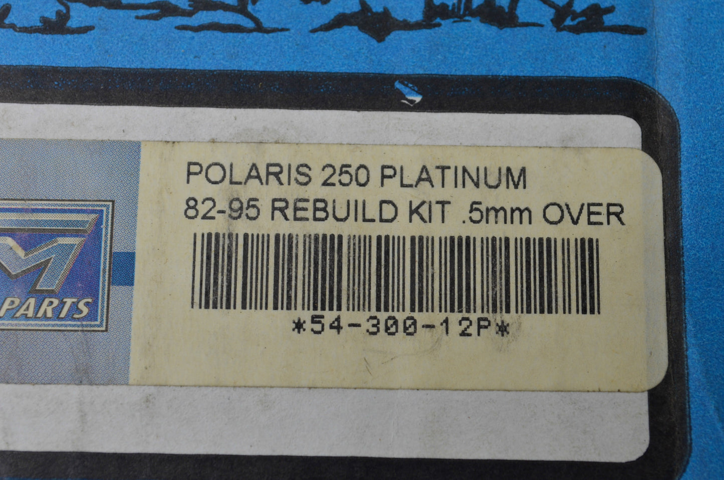 New WSM ATV Engine Rebuild Kit NOS