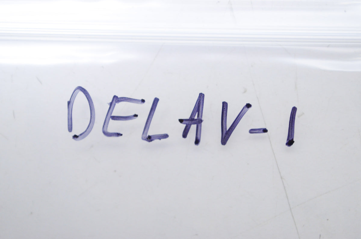 Delphin DELAV-1 Air Valve NOS