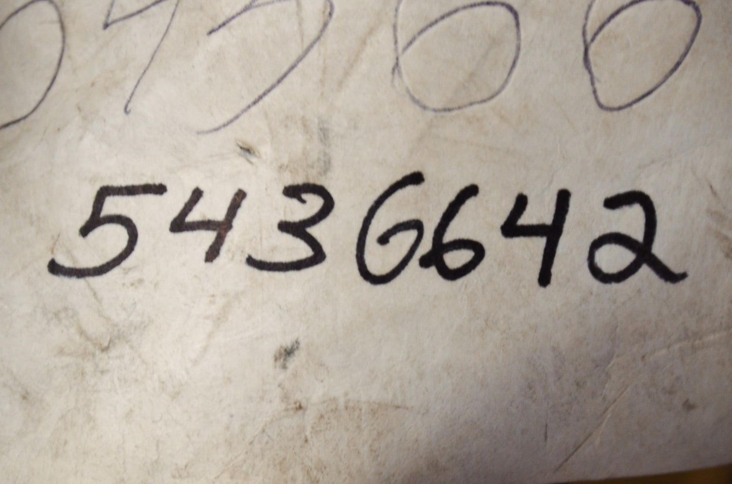 OEM Polaris Plastic Ski