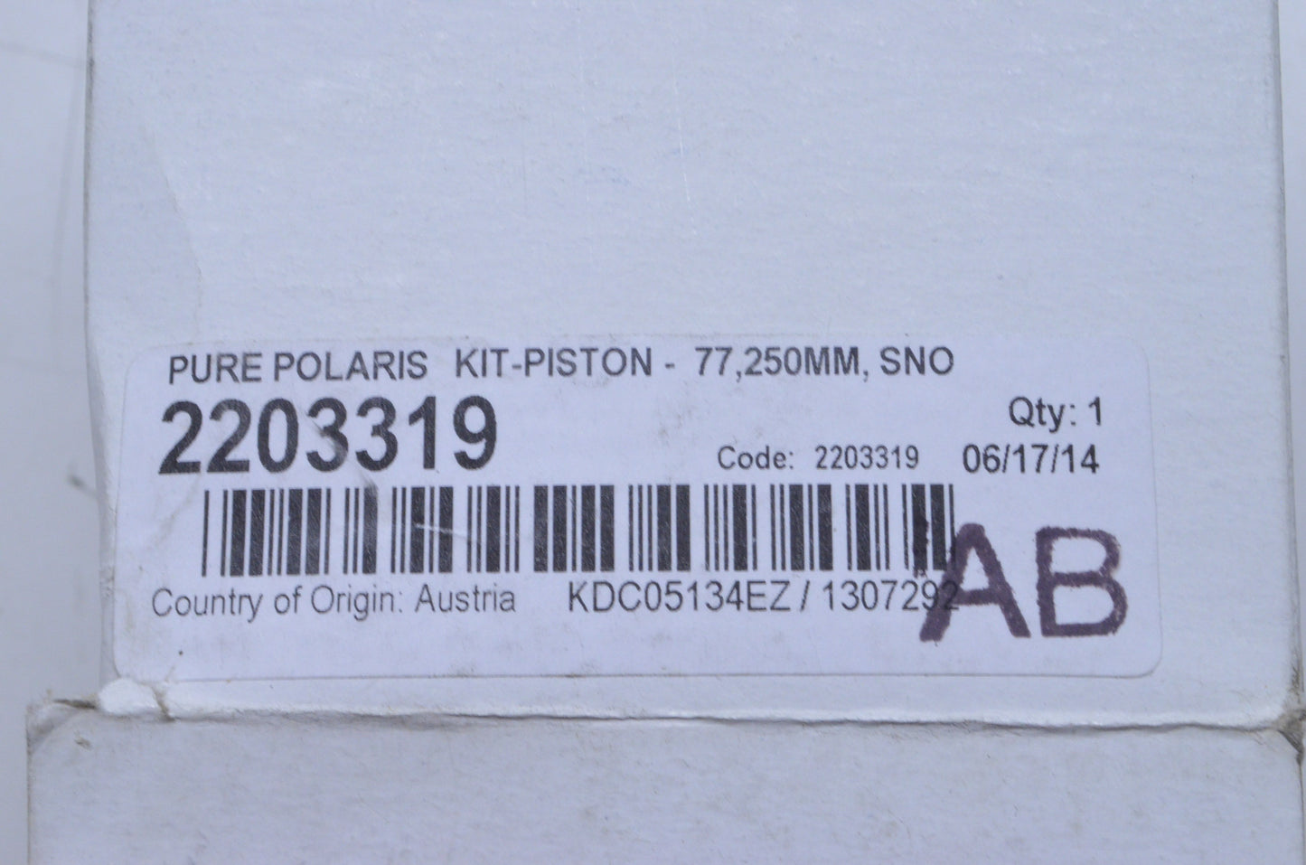 OEM Polaris 2203319 Piston Kit