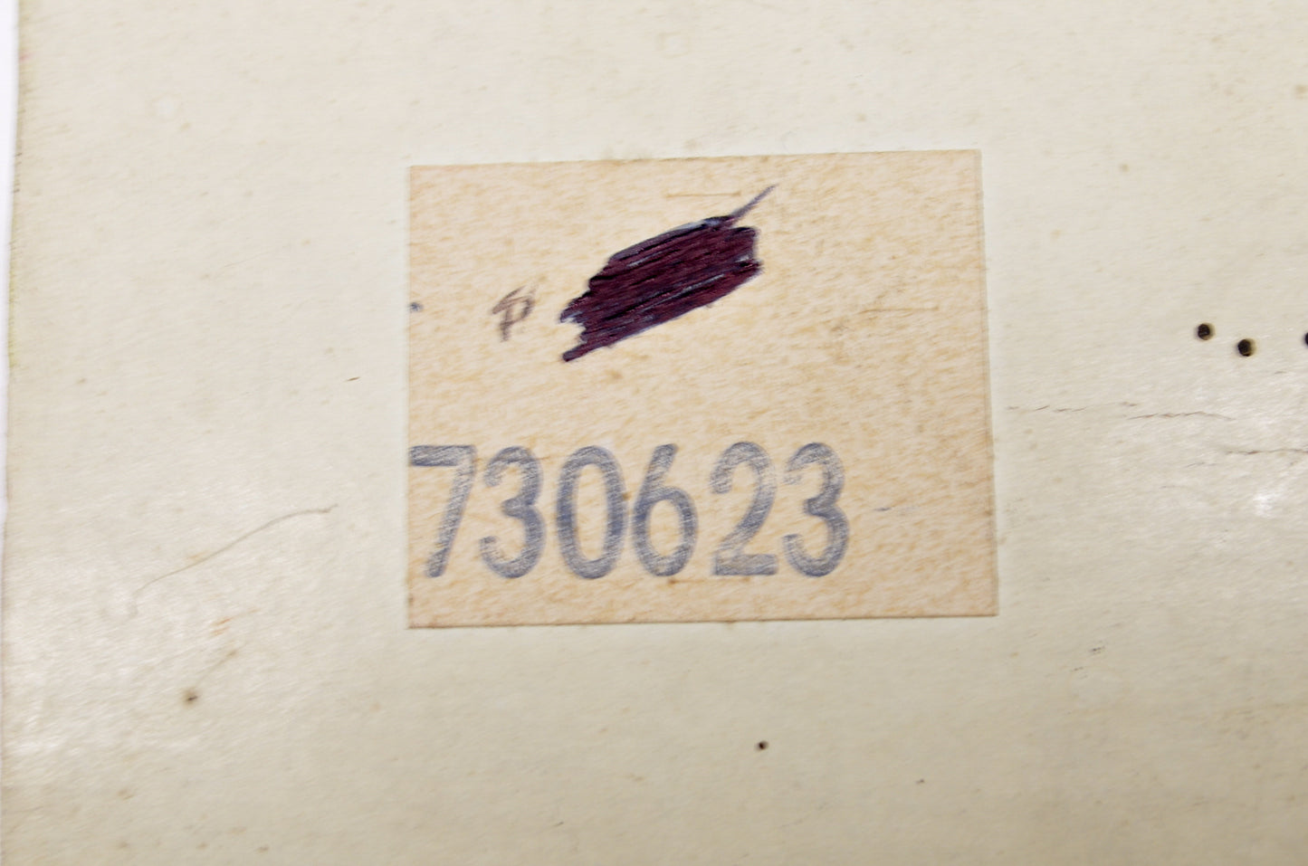 Tecumseh 730623 Electric Switch