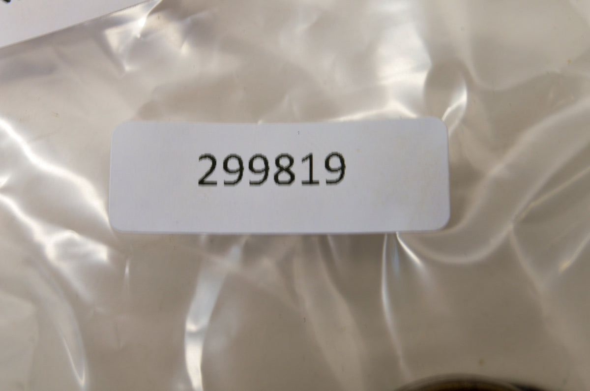 OEM Briggs & Stratton 299819 Oil Seal QTY 2 NOS