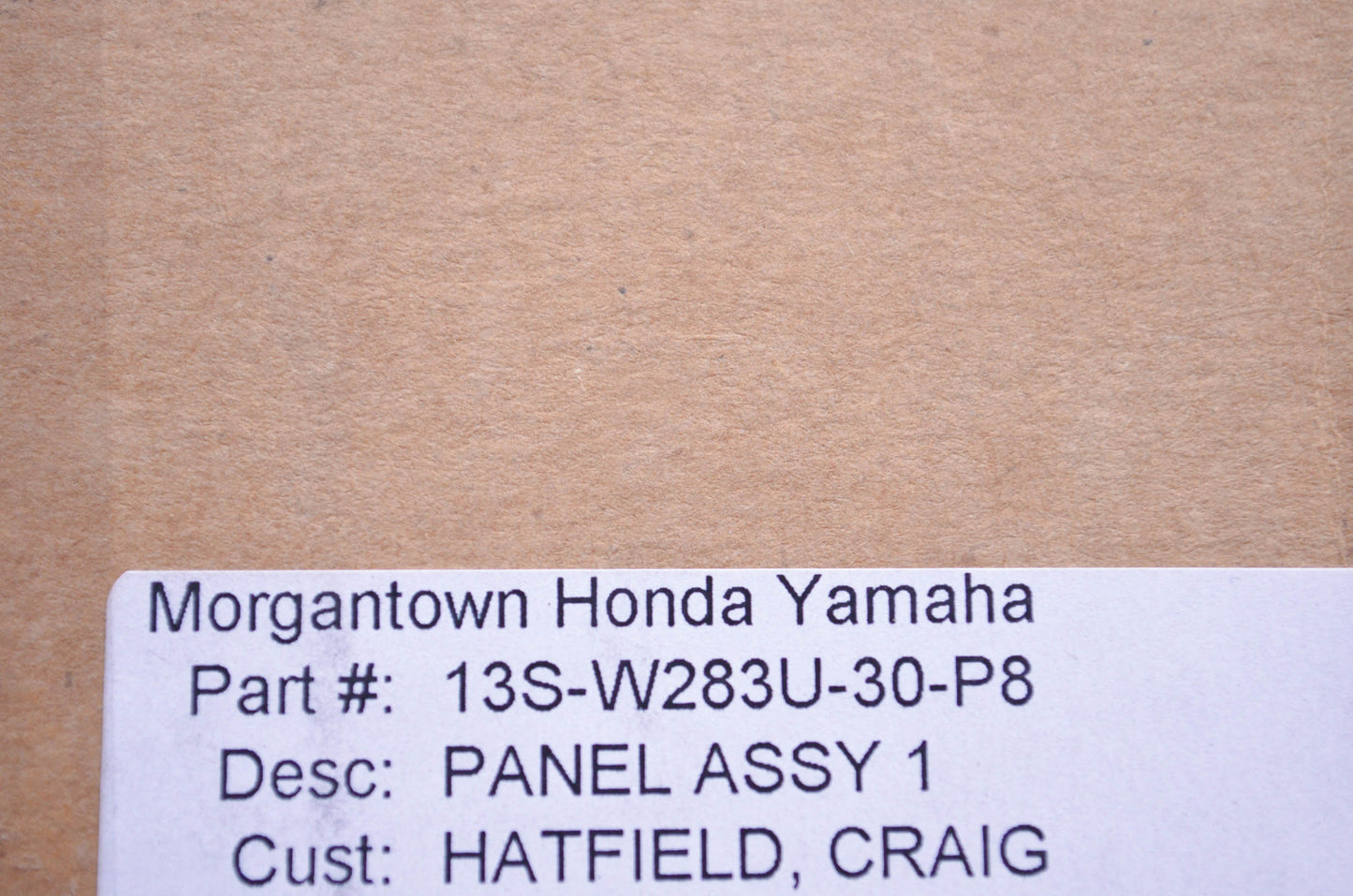 OEM Yamaha 13S-W283U-30-P8 Panel Assembly 1 NOS