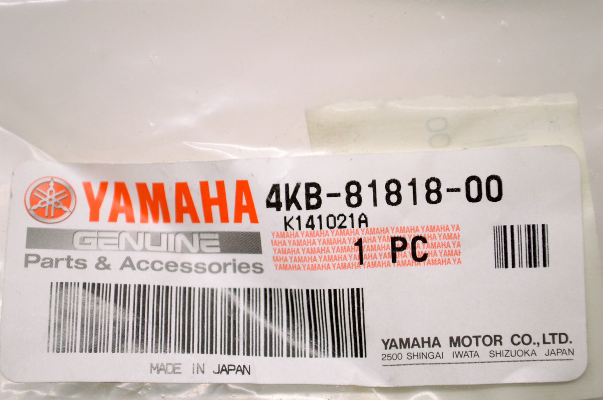 OEM Yamaha 4KB-81818-00-00 Brush & Bolt NOS