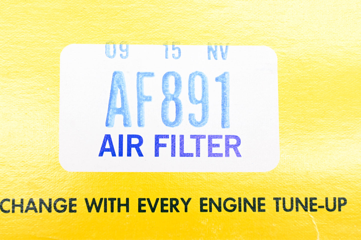 Hastings AF891 Air Filter NOS