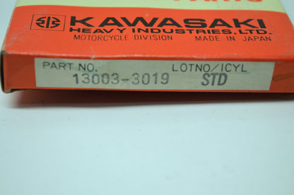 OEM Kawasaki 13003-3019 Piston Ring STD NOS
