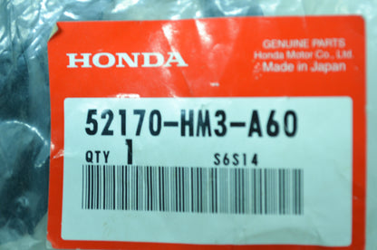 OEM Honda 52170-HM3-A60 Chain Slider NOS