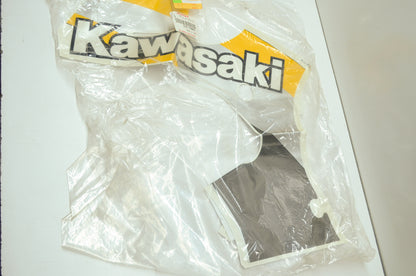 OEM Kawasaki 56063-1373 Front Lower Cowling Pattern NOS