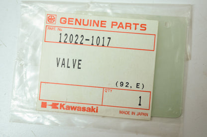 OEM Kawasaki 12022-1017 Reed Valve NOS